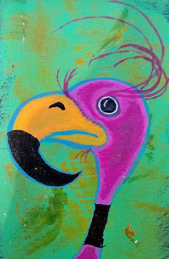 Brad Weber Birds etc