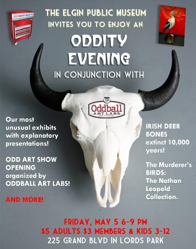 oddity evening at the elgin public museum