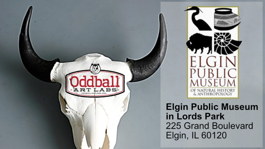 elgin public museum banner