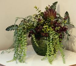 horror floral creature from the black lagoon