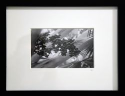 jane erlandson jamaica bismarck